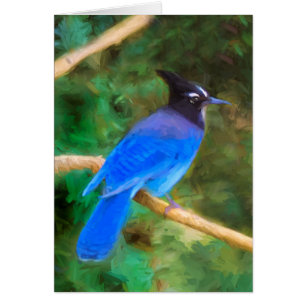 Stellers Jay Painting - Original Bird Art Hälsningskort