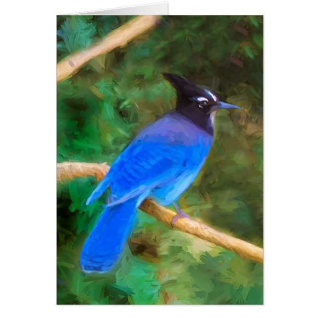 Stellers Jay Painting - Original Bird Art Hälsningskort (Framsidan)