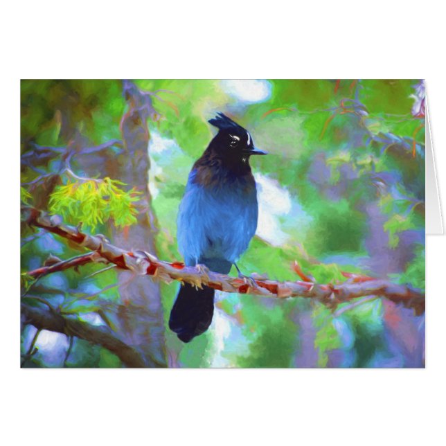 Stellers Jay Painting - Original Bird Art Hälsningskort (Framsidan Horizontal)