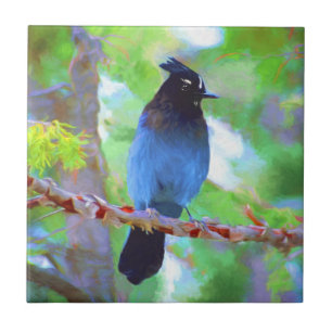 Stellers Jay Painting - Original Bird Art Kakelplatta