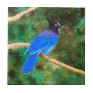 Stellers Jay Painting - Original Bird Art Kakelplatta