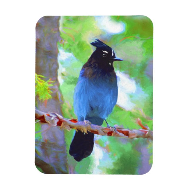 Stellers Jay Painting - Original Bird Art Magnet (Vertikal)