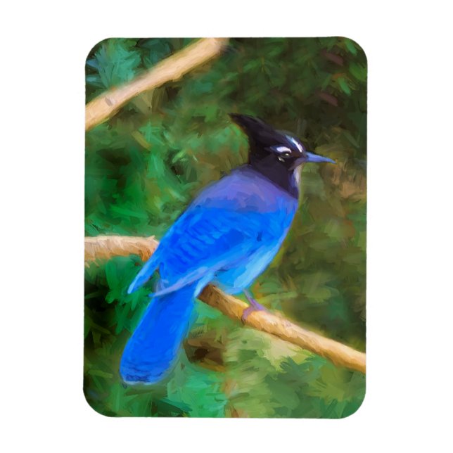 Stellers Jay Painting - Original Bird Art Magnet (Vertikal)