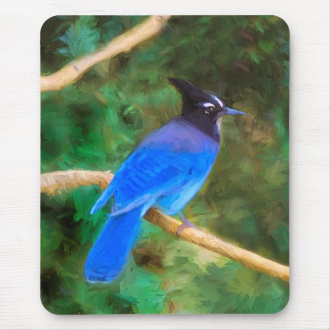 Stellers Jay Painting - Original Bird Art Musmatta (Framsidan)