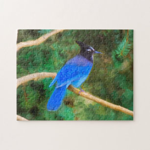 Stellers Jay Painting - Original Bird Art Pussel