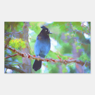 Stellers Jay Painting - Original Bird Art Rektangulärt Klistermärke