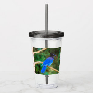 Stellers Jay Painting - Original Bird Art Take Away Mugg