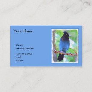 Stellers Jay Painting - Original Bird Art Visitkort