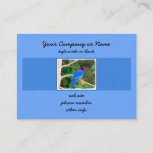 Stellers Jay Painting - Original Bird Art Visitkort