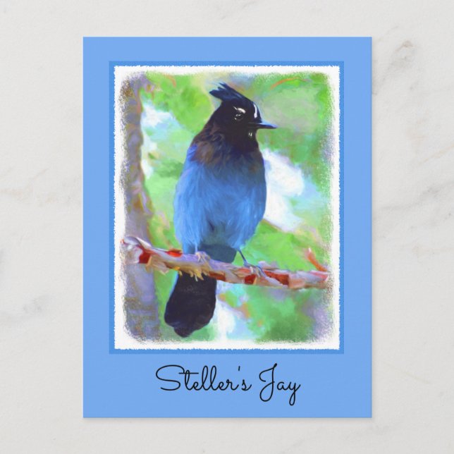 Stellers Jay Painting - Original Bird Art Vykort (Framsida)