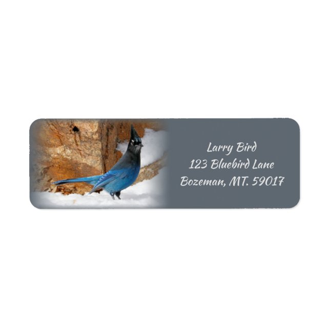 Steller's Jay Returadress Returadress Etikett (Framsidan)