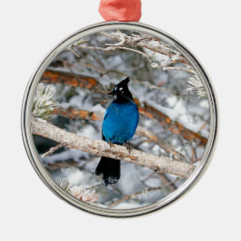 Steller's Jay Round Julgransprydnad Metall