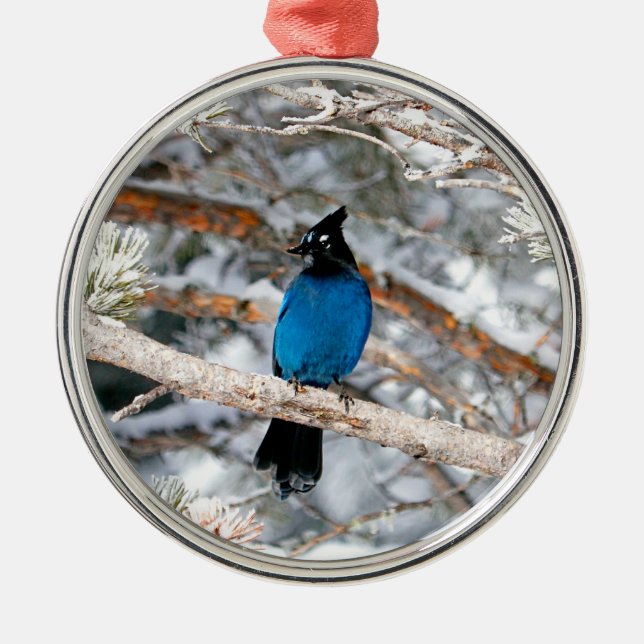 Steller's Jay Round Julgransprydnad Metall (Framsidan)