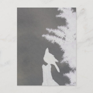 Steller's Jay Silhouette Vykort