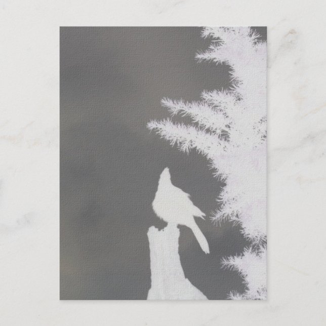 Steller's Jay Silhouette Vykort (Framsida)