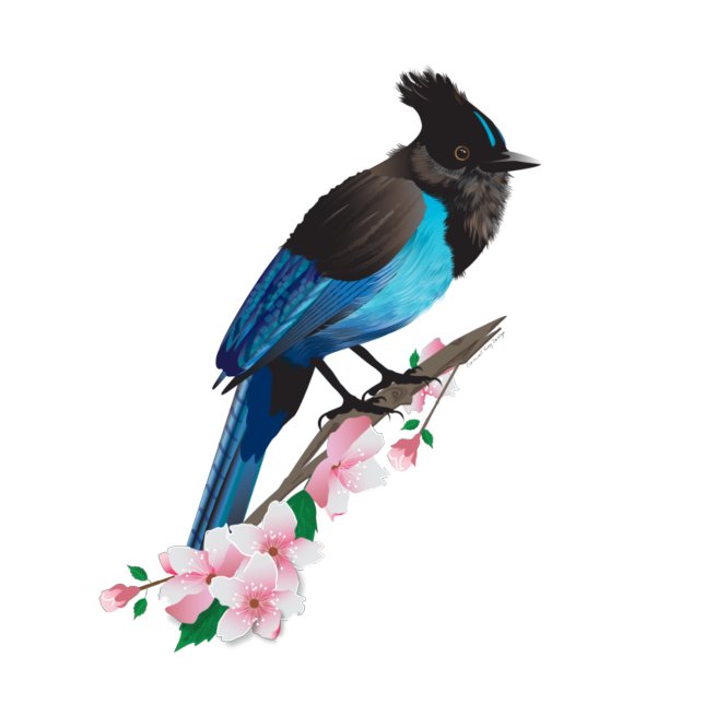 Steller's Jay Stretched Kanvastryck (Skapare uppladdad)