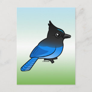 Stellers Jay Vykort