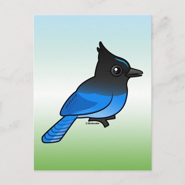 Stellers Jay Vykort (Framsida)