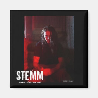STEMM: Steve Magnet