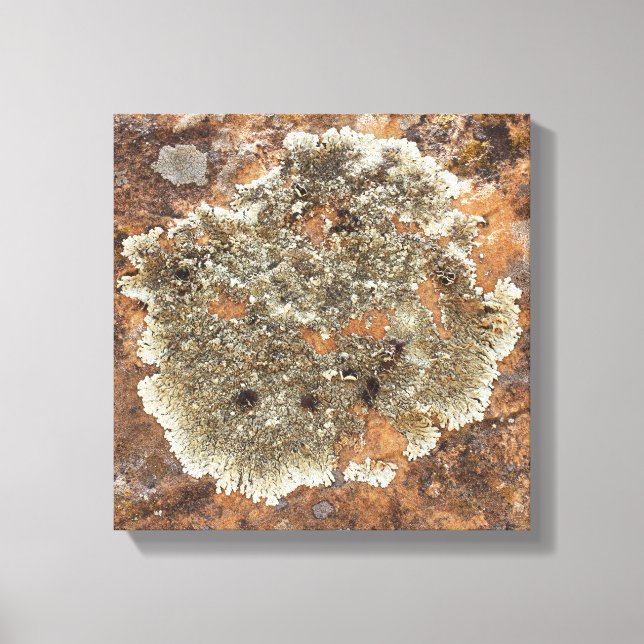 Sten Art - Naturkonst Canvastryck (Framsida)