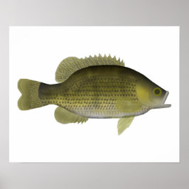 Sten Bass Poster