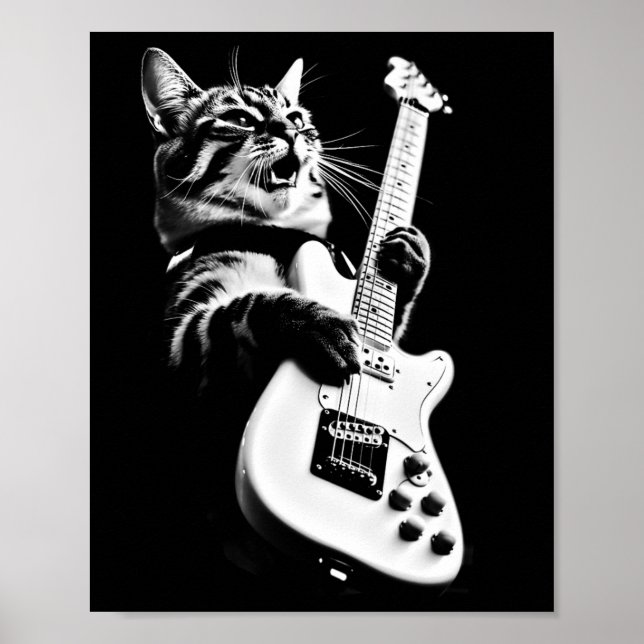 Sten Cat Pay Guitar - Funny Guitar Cat 1 Poster (Framsidan)