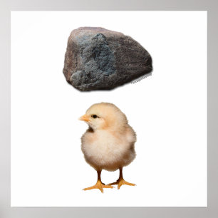 STEN + CHICK POSTER