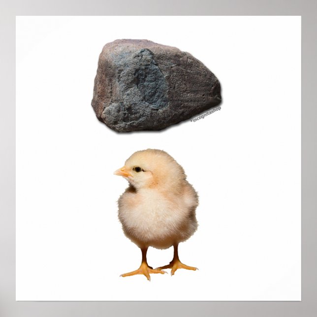 STEN + CHICK POSTER (Framsidan)