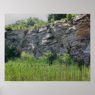 Sten Cliff Wall Cattails Pond Natature Poster