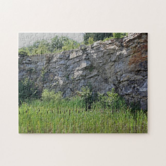 Sten Cliff Wall Cattails Pond Natature Pussel (Horisontell)