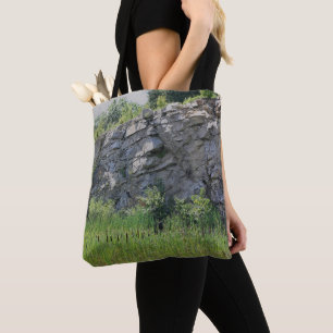 Sten Cliff Wall Cattails Pond Natature Tygkasse