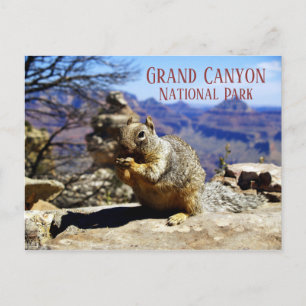 Sten-ekorren på Sten Nibbling Snack, Grand Canyon Vykort