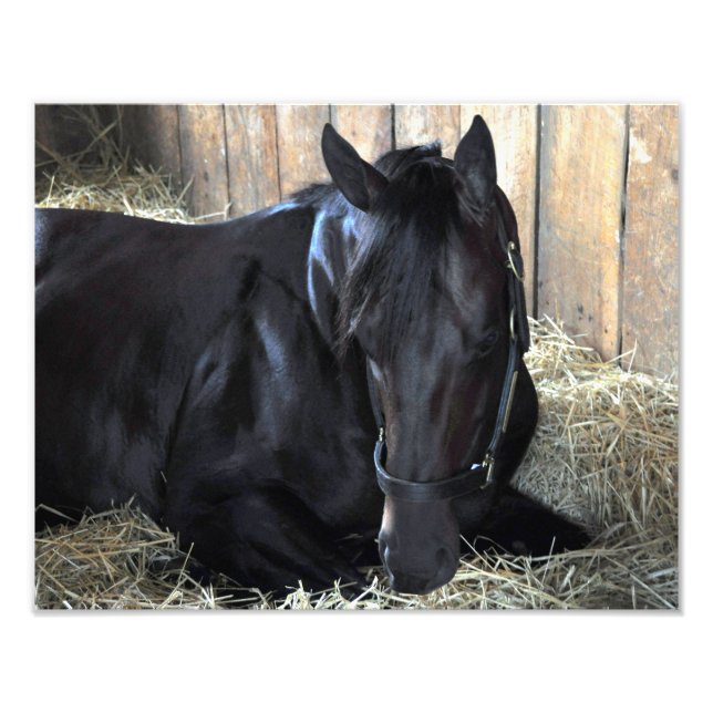 Sten Fall by Speightstown - Renda Fototryck (Framsidan)