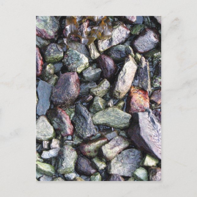 Sten fast vykort (Framsida)