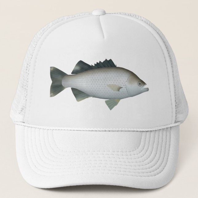 Sten Flagtail Keps (Framsida)