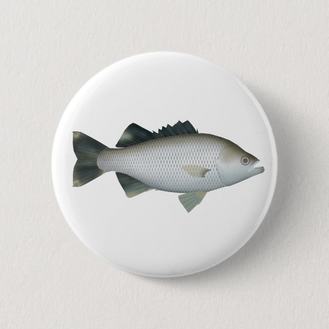 Sten Flagtail Knapp (Framsida)