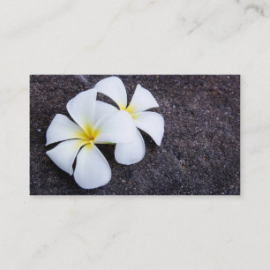 Sten för Lava för Frangipani för vitPlumeriablo Visitkort