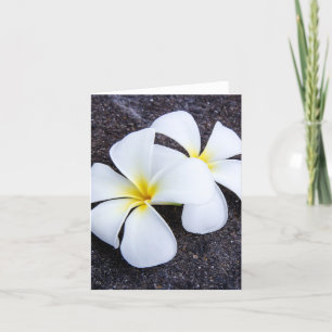 Sten för Lava för Frangipani för vitPlumeriablomma Kort