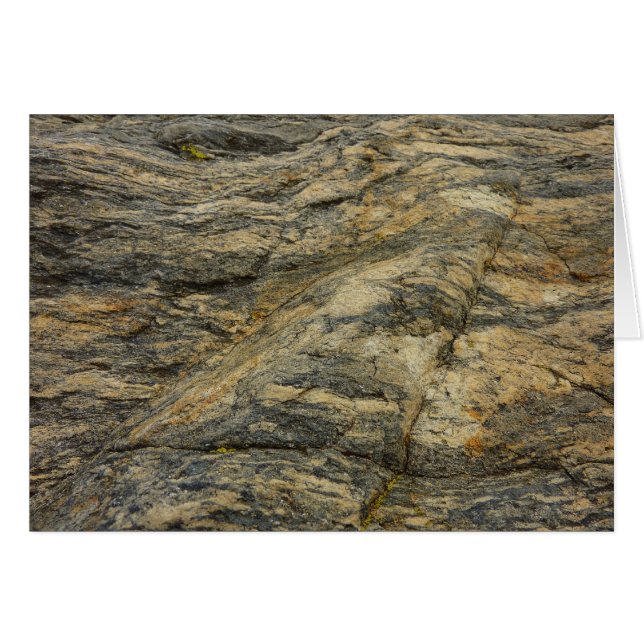 Sten från Joshua Träd Abstrakt Natur Fotography OBS Kort (Framsidan Horizontal)