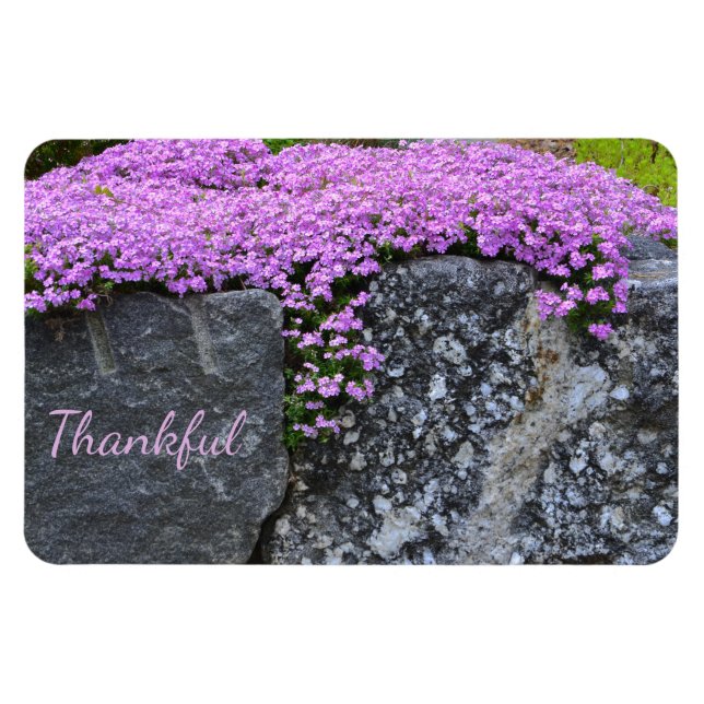 Sten Garden Gratitude Magnet (Horisontell)