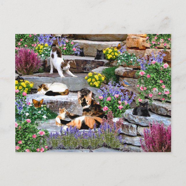 "Sten Garden"-vykort Vykort (Framsida)