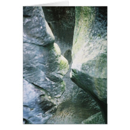 Sten Kiss Hälsningskort