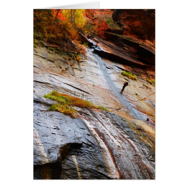 Sten Kliber, Narrows, Zion NP, tomt kort (Framsidan)
