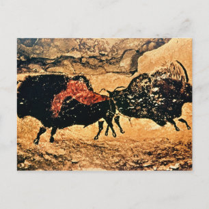 Sten-lackering av bison, 17000 BC Vykort