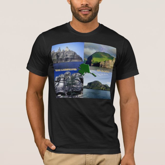 Sten Landscapes of Alaska Collage T-shirt (Framsida)