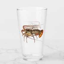 Sten Lobster - Panulirus Regis