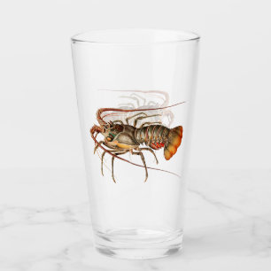 Sten Lobster - Panulirus Regis Glaskopp