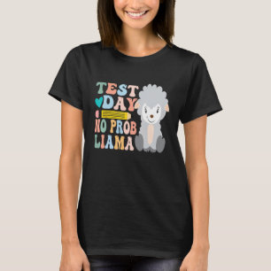 Sten: Motiveringstiden för retro-testdagen T Shirt