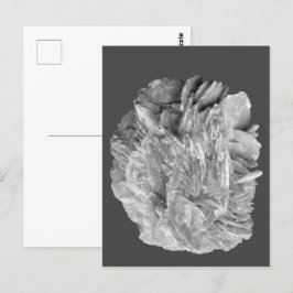 Sten | Ny vy | Två ton Lagrar | Vykort