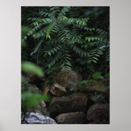 Sten och Grekland Poster